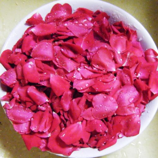 Rose Petals, Dry Rose Petal, Natural Rose Petals